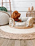 Rattan Dog Bed - with Linen Cushion - for Small Dogs & Cats - Woven Handcrafted Indoor House Decor - Home & Room Pet Couch - Washable Round Pillow - The Mila - Boho Dog Bed - Scandinavian - Decor