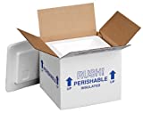 Polar Tech 205C Thermo Chill Insulated Carton with Foam Shipper, Small, 6" Length x 5" Width x 6-1/2" Depth (Case of 2)