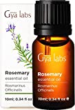 Gya Labs Pure Rosemary Oil for Hair Growth & Dry Scalp (0.34 fl oz) - 100% Therapeutic Grade Undiluted Rosemary Essential Oils for Hair Growth, Hair Loss, Skin & Diffuser