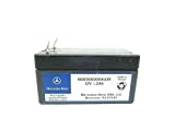 2007-2012 Mercedes-Benz GL450 GL550 Auxillary Back Up Battery 000000004039 OEM