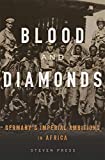 Blood and Diamonds: Germanyâ€™s Imperial Ambitions in Africa