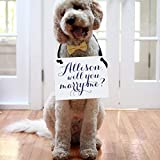 Custom Will You Marry Me Proposal Sign with She Said Yes on Back Personalized Engagement Banner with Her Name in Script 1109