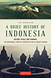Brief History of Indonesia: Sultans, Spices, and Tsunamis: The Incredible Story of Southeast Asia's Largest Nation (Brief History of Asia Series)