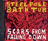 Scars From Falling Down By Third Eye Blind,Steel Pole Bathtub (1996-01-19)