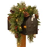 National Tree Company Pre-lit Artificial Christmas Mail Box Swag Flocked with Mixed Decorations and White LED Lights Colonial-36 Inch
