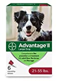 Advantage II 6-Dose Large Dog Flea Prevention, Topical Flea Treatment for Large Dogs 21-55 Pounds