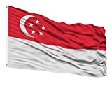 DANF Singapore Flag 3x5 Foot Flags Singaporean National Polyester with Brass Grommets 3 X 5 Ft