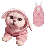 ANIAC Pet Hoodie Cat Rabbit Outfit with Bunny Ears Cute Sweatshirt Spring and Autumn Puppy Knitted Sweater Kitty Soft Knitwear (X-Small, Pink)