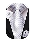 Hi-Tie Light Gray Silver Plaid Necktie Set Suit Ties for Business