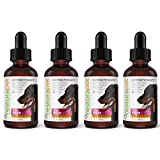 RestoraPet 4 Pack Organic Pet Supplement for Dogs, Cats & Horses | Healthy & Safe Antioxidant Liquid Drops | Anti-Inflammatory Multi-Vitamin | Increases Mobility, Energy & Reduces Joint Pain | Bacon