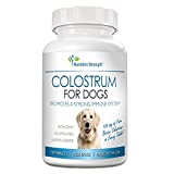 Nutrition Strength Pure Bovine Colostrum for Dogs Supplement, Rich in Antibodies to Protect Against Disease, Support for Immune Function, Digestive System, 120 Chewable Tablets