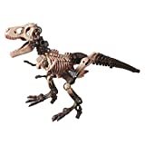 Transformers Toys Generations War for Cybertron: Kingdom Deluxe WFC-K7 Paleotrex Fossilizer Action Figure - Kids Ages 8 and Up, 5.5-inch