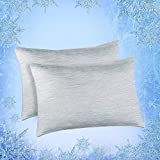 Elegear Cooling Pillow Cases for Hot Sleepers, Japanese Q-Max 0.4 Cooling Fiber, Breathable Soft Both Sides Pillowcases with Hidden Zipper, Set of 2, Gray (Queen (20'' x 30''))