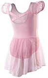 DIPUG Ballet Leotards for Girls Ballet Leotard with Skirt Toddler Dance Leotards Flutter Sleeve and Criss-Cross Back Pink Size 4-6