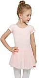 MdnMd Dance Ballet Leotard for Toddler Girls Classic Short Sleeve Tutu Skirt (Ballet Pink, Age 2-4 / 2t,3t)