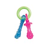 Nylabone Puppy Chew Teething Pacifier - Puppy Chew Toy for Teething - Puppy Supplies - Bacon Flavor, Small/Regular (1 Count)