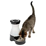 PetSafe Healthy Pet Water Station - Small, 64 oz Capacity - Gravity Cat & Dog Waterer - Removable Stainless Steel Bowl Resists Corrosion & Stands Up to Frequent Use - Easy to Fill - Filter Compatible