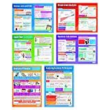 Accounting and Finance Posters - Set of 6 | Business Posters | Gloss Paper Measuring 33â€ x 23.5â€ | Business Class Posters | Education Charts by Daydream Education