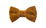 Bow Tie (Gold Velvet-Large)