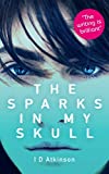 The Sparks In My Skull: A Young Adult Magical Realism Dystopian Adventure