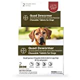 Bayer Animal Health Quad Dewormer for Large Dogs (Over 45 lbs) 2 Chewable Tablets