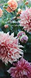 Floret Farm's Cut Flower Garden List Ledger: (Mother's Day Gift, Gardener's Gift, Dahlia Notebook) (Floret Farms x Chronicle Books)