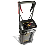 DieHard 71341 6/12V Gold Smart Wheel Battery Charger and 50/250A Maintainer