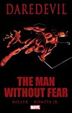 Daredevil: The Man Without Fear (Daredevil: The Man Without Fear (1993-1994))