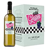 Wild Grapes Premium DIY Wine Making Kits - California Moscato - Makes Up to 30 x 750mL Bottles, 6 Gallons of Wine