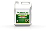 LawnLift Ultra Concentrated (Green) Grass Paint 64oz. Covers up to 2000 sq feet* Coverage Will Vary depending on Condition of Grass, Sprayer Setting, Dilution Ratio and Desired Shade.