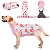 Kuoser Recovery Suit for Dogs Cats After Surgery, Professional Pet Recovery Shirt Dog Abdominal Wounds Bandages, Substitute E-Collar & Cone,Prevent Licking Dog Onesies Pet Surgery Recovery Suit