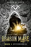 Overworld (Dragon Mage Saga Book 1): A fantasy post-apocalyptic story