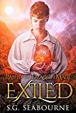 Path of The Dragon Mage: Exiled: A LitRPG Fantasy