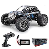 Fistone RC Truck 1/16 High Speed Racing Car , 24MPH 4WD Off-Road Waterproof Vehicle 2.4Ghz Radio Remote Control Monster Truck Dune Buggy Hobby Toys for Kids and Adults