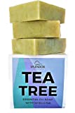 Splendor Tea Tree Coconut Oil Soap Bars with ORGANIC SPIRULINA. Handmade, Vegan, Natural, Moisturizing. Acne, Eczema, Jock Itch and Body Odor for Hand, Body and Face