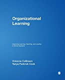 Organizational Learning: Improving Learning, Teaching, and Leading in School Systems