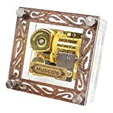 SOFTALK Creative Transparent Acrylic 18-Note Wind-up Gold Musical Box,Musical Toys,Beautiful Melody Gift (Gold-Plated Square Box Acrylic, Tune:Elfen Lied)