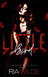 Little Bird: A Dark Enemies to Lovers Romance : Twisted City Duet Book 1