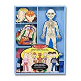 Melissa & Doug Magnetic Human Body Anatomy Play Set With 24 Magnetic Pieces and Storage Tray - Human Body Model For Kids, Human Body Puzzle For Preschoolers And Kids Ages 3+