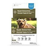 Elanco Chewable Quad Dewormer for Medium Dogs, 26-60 lbs, 2 chewable tablets