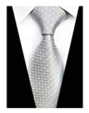 Elfeves Men Modern Tartan Formal Ties Checks Plaid Gingham Pattern Woven Necktie (One Size, Silver Grey)