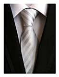 Secdtie Men's Stripe White Silver Jacquard Woven Silk Tie Formal Necktie TW010
