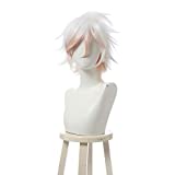 SHANSHAN Cosplay Wigs Dangan Ronpa Komaeda Nagito Anime Cosplay Wig Short White Synthetic Wig For Men Boys