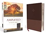 The Amplified Study Bible, Leathersoft, Brown [Large Print]