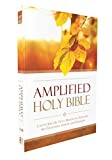 Amplified Outreach Bible, Paperback: Capture the Full Meaning Behind the Original Greek and Hebrew