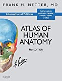 Atlas of Human Anatomy