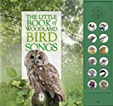 Little Book Of Woodland Bird Songs