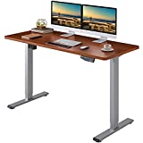 FLEXISPOT Height Adjustable Desk 55 x 28 inches with Memory Electric Sit Stand Up Computer Desk Home Office Gray Frame/Mahogany Top