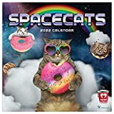 TF PUBLISHING - 2022 Space Cats Wall Calendar - Home and Office Organizer - Large Monthly Grid for Planning and Schedules - Bonus Months - 12"x12"