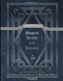 Unofficial Magical Drafts and Potions: Unofficial Encyclopedia of the Wizarding World - Volume 2